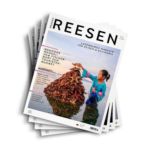 [RE_ABO_4.] REESEN Subscription (4 issues)